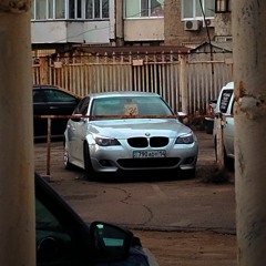 Кішкентай ұлының еркелеткен анасының видеосы