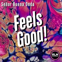 Señor Buena Onda - Feels Good!