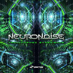 Neuronoise - Transformed Experience