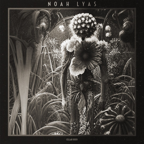 #85-NOAH LYAS