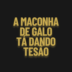 A Maconha de Galo Tá Dando Tesão