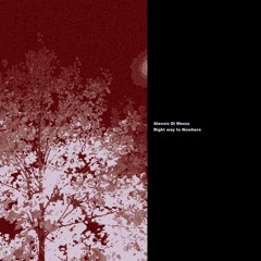 Alessio Di Mezza - Right way to Nowhere LP