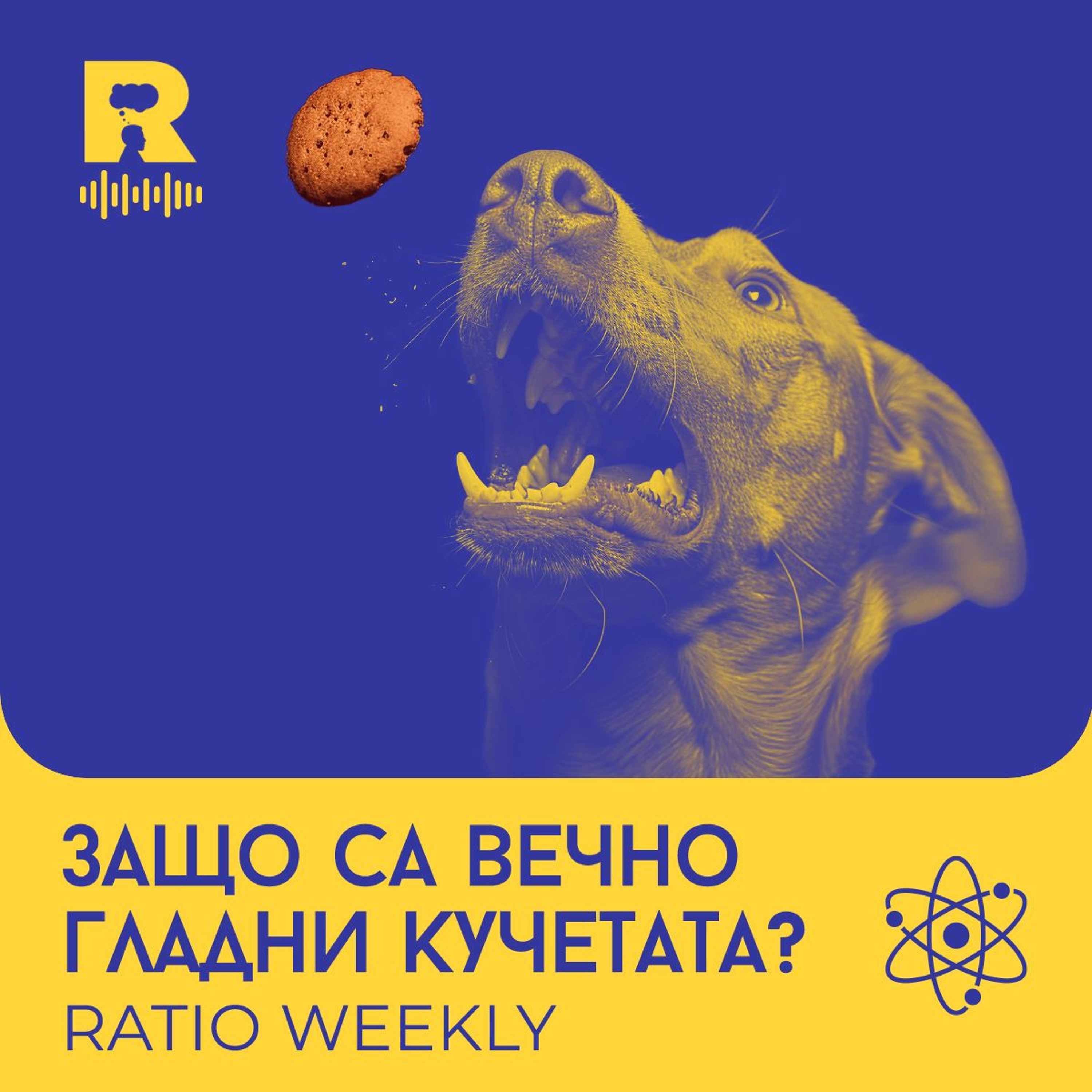 Ratio Podcast