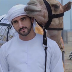 ولو بغاني؟ هو رقى الي ولّا انا ما انزله. فزاع