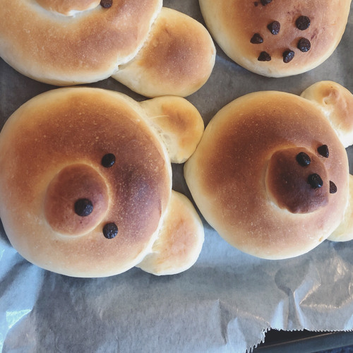 Stream フイルムカメラ By なおおにとうへい Listen Online For Free On Soundcloud