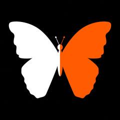 Chrysalis