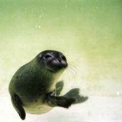 Ruco de Onda: Especial Metatron Rave