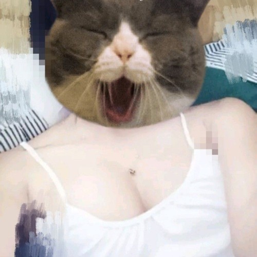 CẨM TÚ CẦU ( Remix ) - Nhạc trẻ hót nhất tháng 7 2024