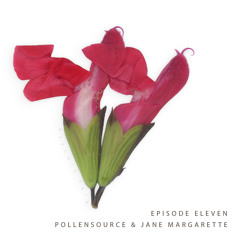 Ep. 11 Pollensource & Jane Margarette - Psychic Skin