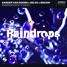 Sander van Doorn x Selva x Macon - Raindrops (Hinjaku remix)