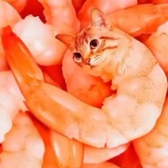 Low Quality Soundcloud Music