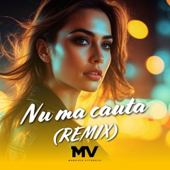 Nu ma cauta (Remix)
