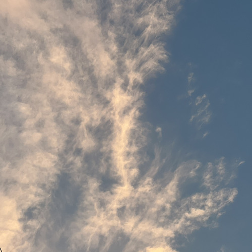 sure thing+speed up  🌟🌟