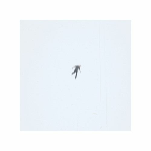 untitled, unreleased