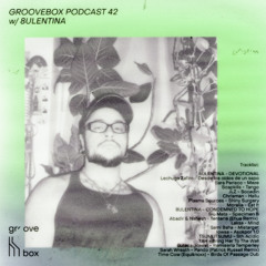 Schimmer Groovebox #042 w/ 8ULENTINA