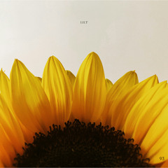 Lilt