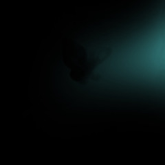 Heaven Gates (yondrr)