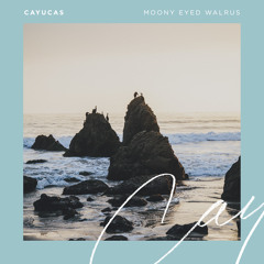 Petals of the Last Flower