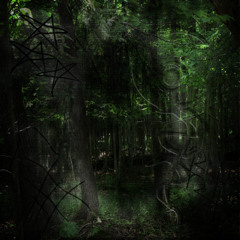 through the leaves (prod Alien Rave Dance Party ✩✩✩)