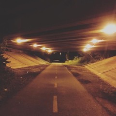 ElectroVibes, Minuteman Bike Path, Cambridge