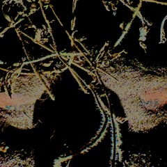 Afraid to see you leave