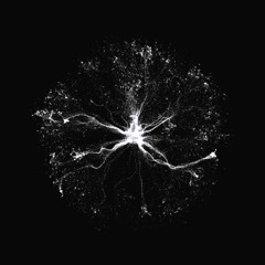 The Prelude To Everything