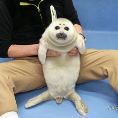 hows it feel to have a cult following