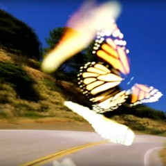 Travis Scott - Butterfly Effect (Instrumental + Sample)