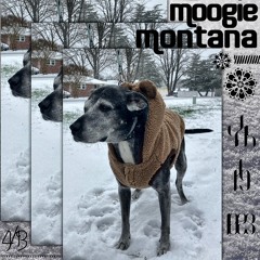 Moogie Montana (Instrumental)