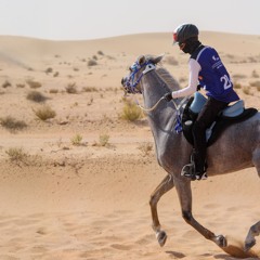 شوف ياتاريخ وشهد ياقلم ⚔️