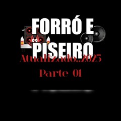 FORRO 2025 FORRO E PISEIRO ATUALIZADO PARTE 01