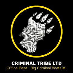 Critical Beat - Big Criminal Beats #1
