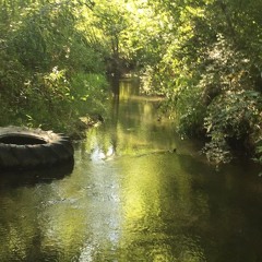 un sueño verde w/ mango mamiii 250925