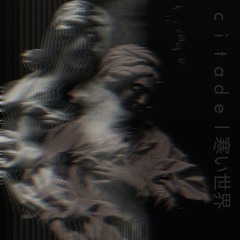 c i t a d e l 寒い世界 - cold things never die