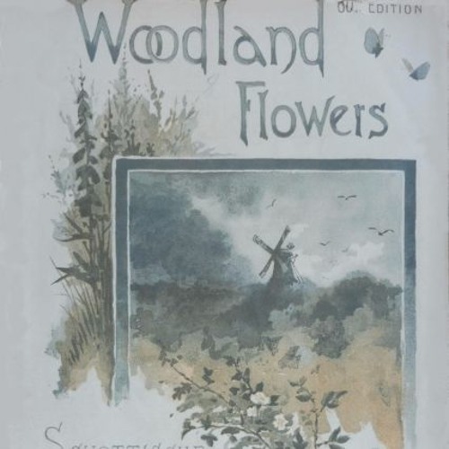 Woodland Flowers/Flowers of the Forest Felix Burns