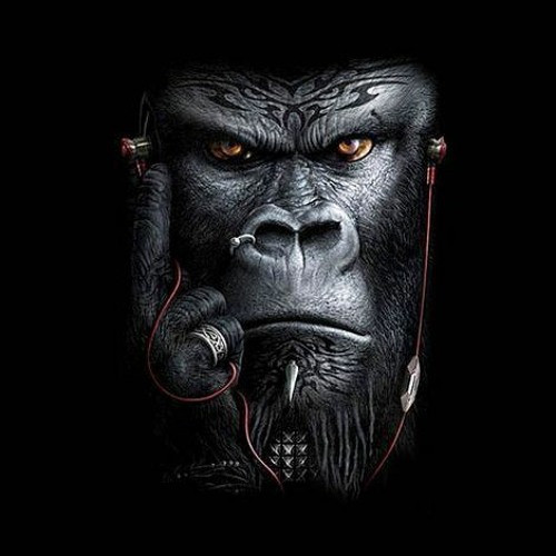 MC ORELHA & MARCELLY - REDUTO DO GORILAO (risca faca)