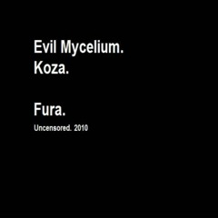 79a Project - Fura