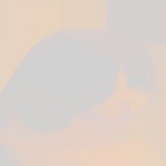 神聖かまってちゃん - コンクリートの向こう側へ [Cover]