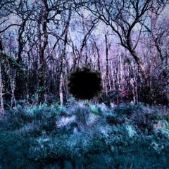 La Traversée Du Chaos