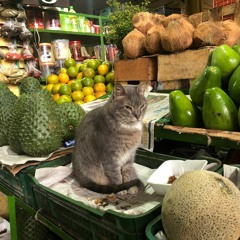 **** Cartita de amor para C O L O M B I A ***** GUAYABA & GS.ELLE