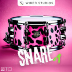 WIRED_STUDIOS_SNARE_1_LOW_TUNE