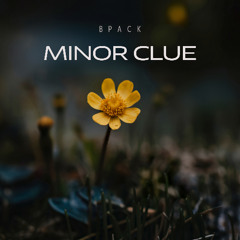SWC095__bpackard__Minor_Clue