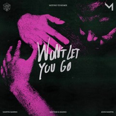 Martin Garrix - Won't Let You Go (MISTRO Remix)