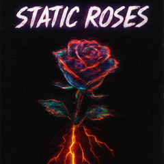 STATIC ROSES