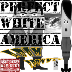 Perfect White America