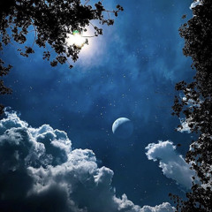 TayTay - Gone4Ever (Prod. Yani)