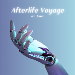 Afterlife Voyage