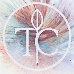 Told you so × For Our People (Tsu-Chi remix)