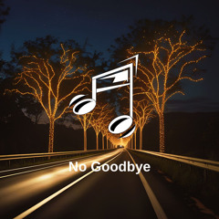 No Goodbye