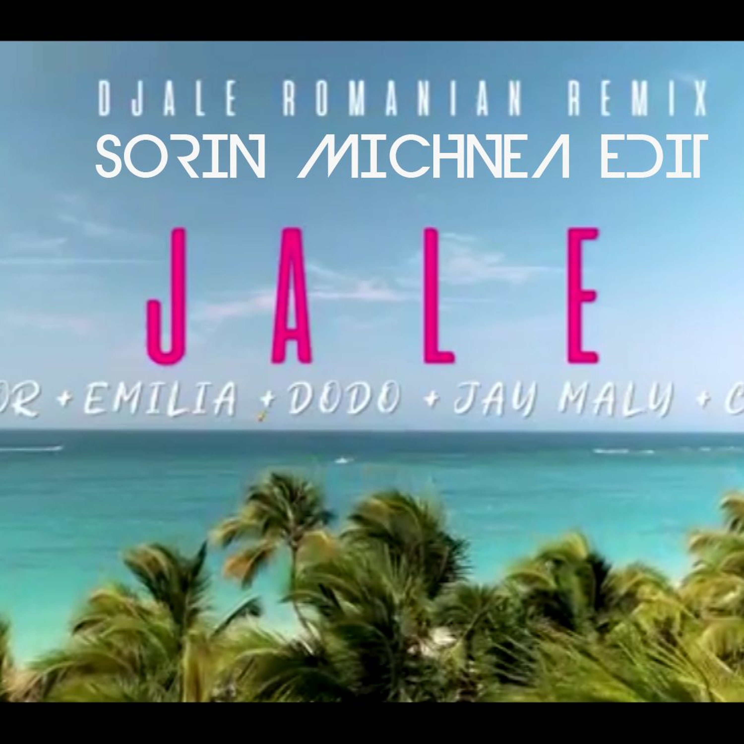 Dj Sorin Michnea